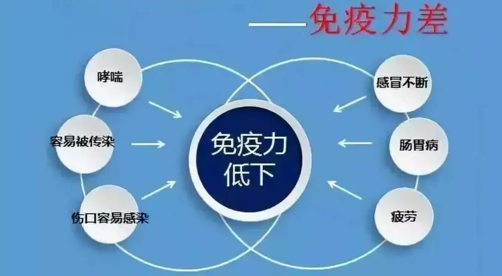 免疫力是怎样检测的？如何提升免疫力？